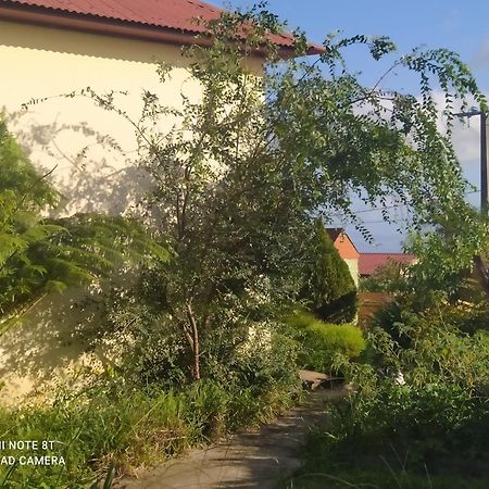 Petit Appartement Dans Une Maison Individuelle 勒唐蓬 外观 照片